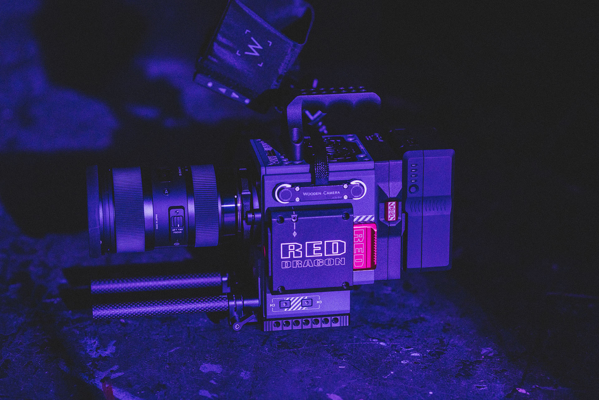 The Indian Express Sony Alpha a7 III review: All you need in one camera