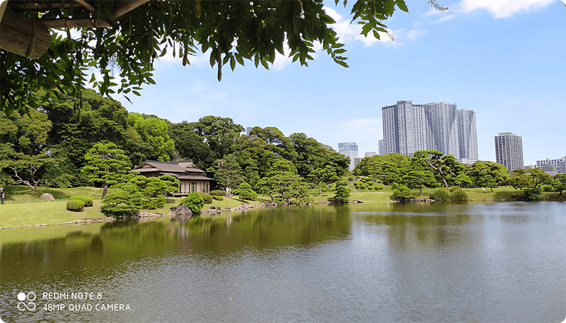 Xiaomi Redmi Note 8: Liệu có đánh bại Realme Q?