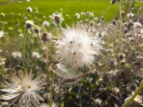 Đánh giá Samsung Galaxy A51: Có gì nâng cấp vo với đàn anh A50s ?