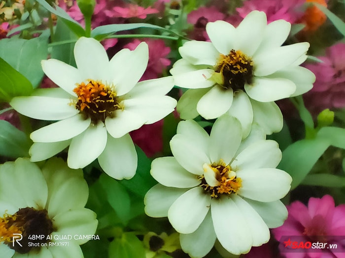 Ảnh chụp từ camera macro của Realme 5 Pro chưa thực sự ấn tượng