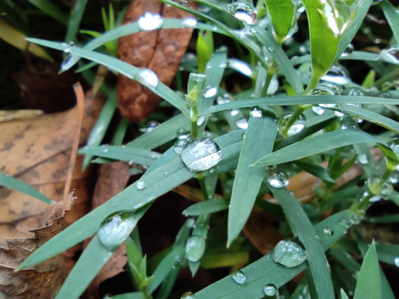 Đánh giá nhanh Xiaomi Mi Note 10