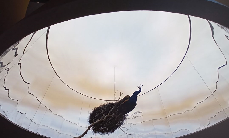 Điện thoại Xiaomi Redmi 9 | Ảnh chụp từ camera góc rộng Điện thoại Xiaomi Redmi 9 | Thiết kế cụm camera mới nổi bật