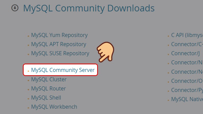 Vào trang web tải MySQL Community. Chọn MySQL Community Server Cách cài đặt MySQL