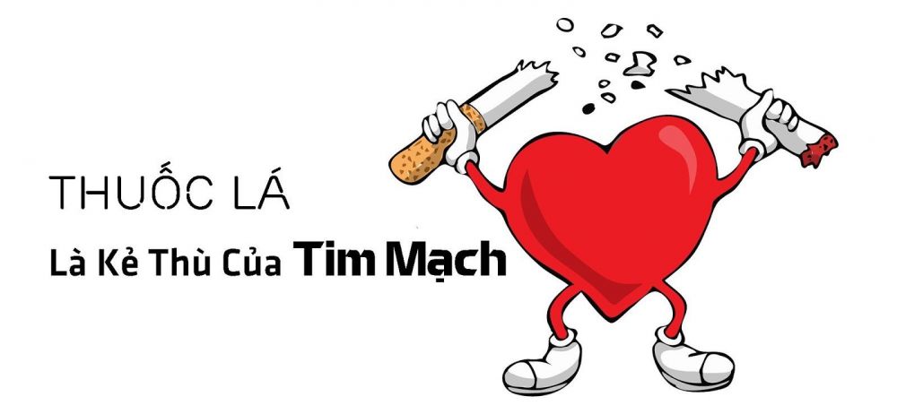 Nhịp tim chuẩn là bao nhiêu? Nhịp tim chuẩn là bao nhiêu?