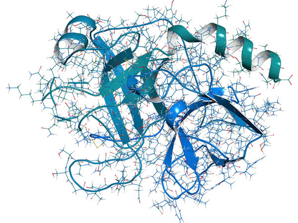 Collagen là gì? Những điều bạn cần biết Collagen là gì?