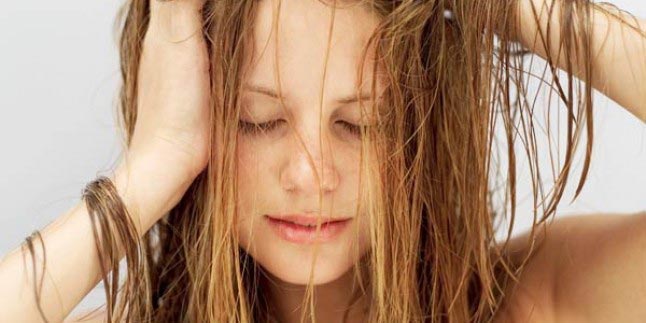 Top những dầu gội cho tóc đổ dầu không thể bỏ qua Top những dầu gội cho tóc đổ dầu không thể bỏ qua