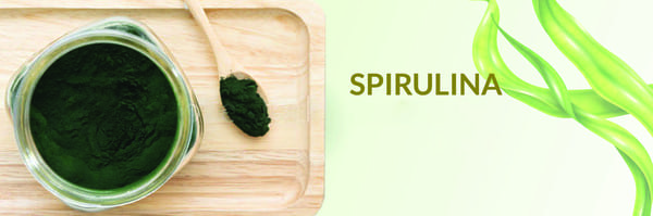 Tảo xoắn Nhật Bản là gì?