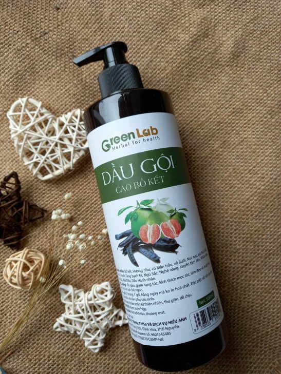 Dầu gội bồ kết có tác dụng gì? 10+ Sản phẩm tốt nhất [Update 2021]