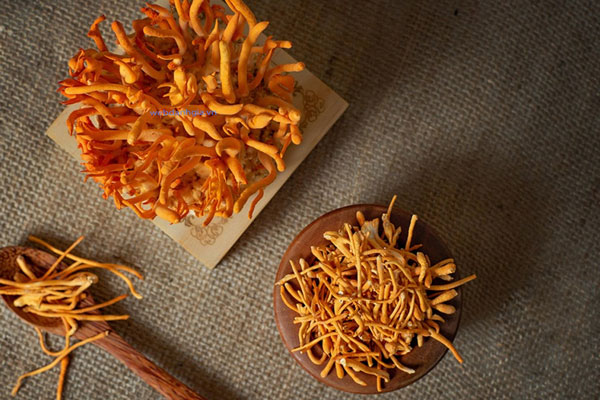 Bông trùng thảo hay còn gọi là Đông trùng hạ thảo Bông trùng thảo hay còn gọi là Đông trùng hạ thảo