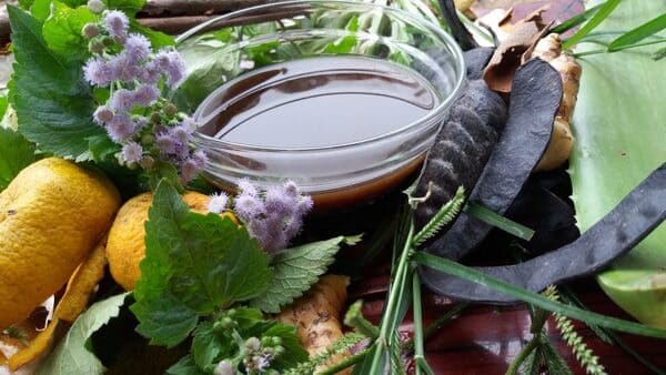 Dầu gội bồ kết có tác dụng gì? 10+ Sản phẩm tốt nhất [Update 2021]