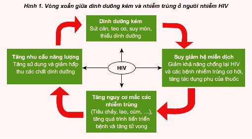 Liên quan giữa dinh dưỡng và HIV