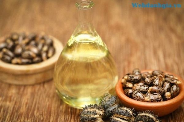 Tinh dầu dưỡng tóc từ hạt thầu dầu Tinh dầu dưỡng tóc từ hạt thầu dầu