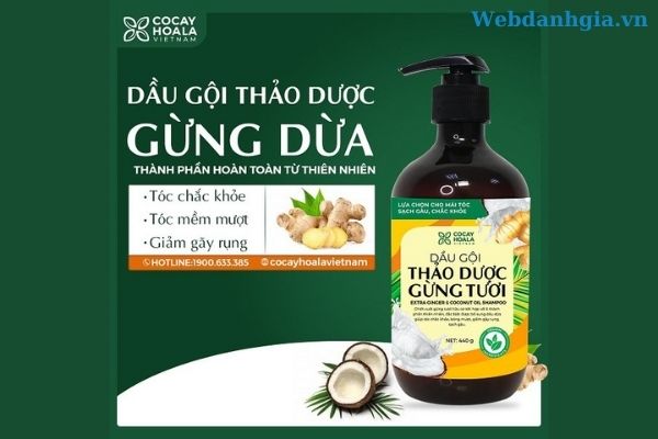 Dầu gội thảo dược gừng dừa Dầu gội thảo dược gừng dừa