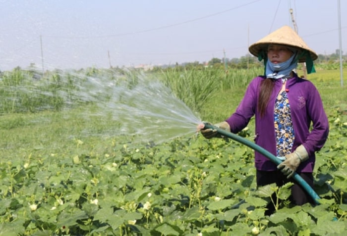 Hỗ trợ trồng trọt và chăn nuôi